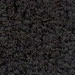 Pitch Black